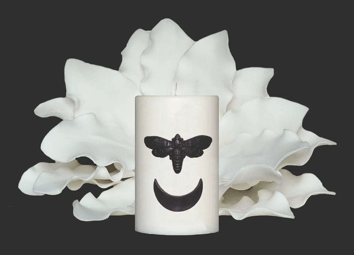 Paket Nočni metulj I 2