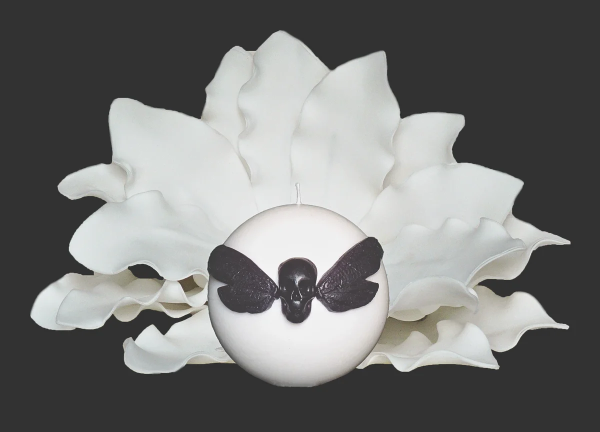 Paket Nočni metulj I 4