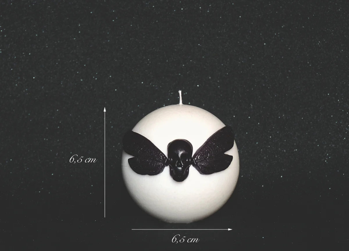 Paket Nočni metulj I 7